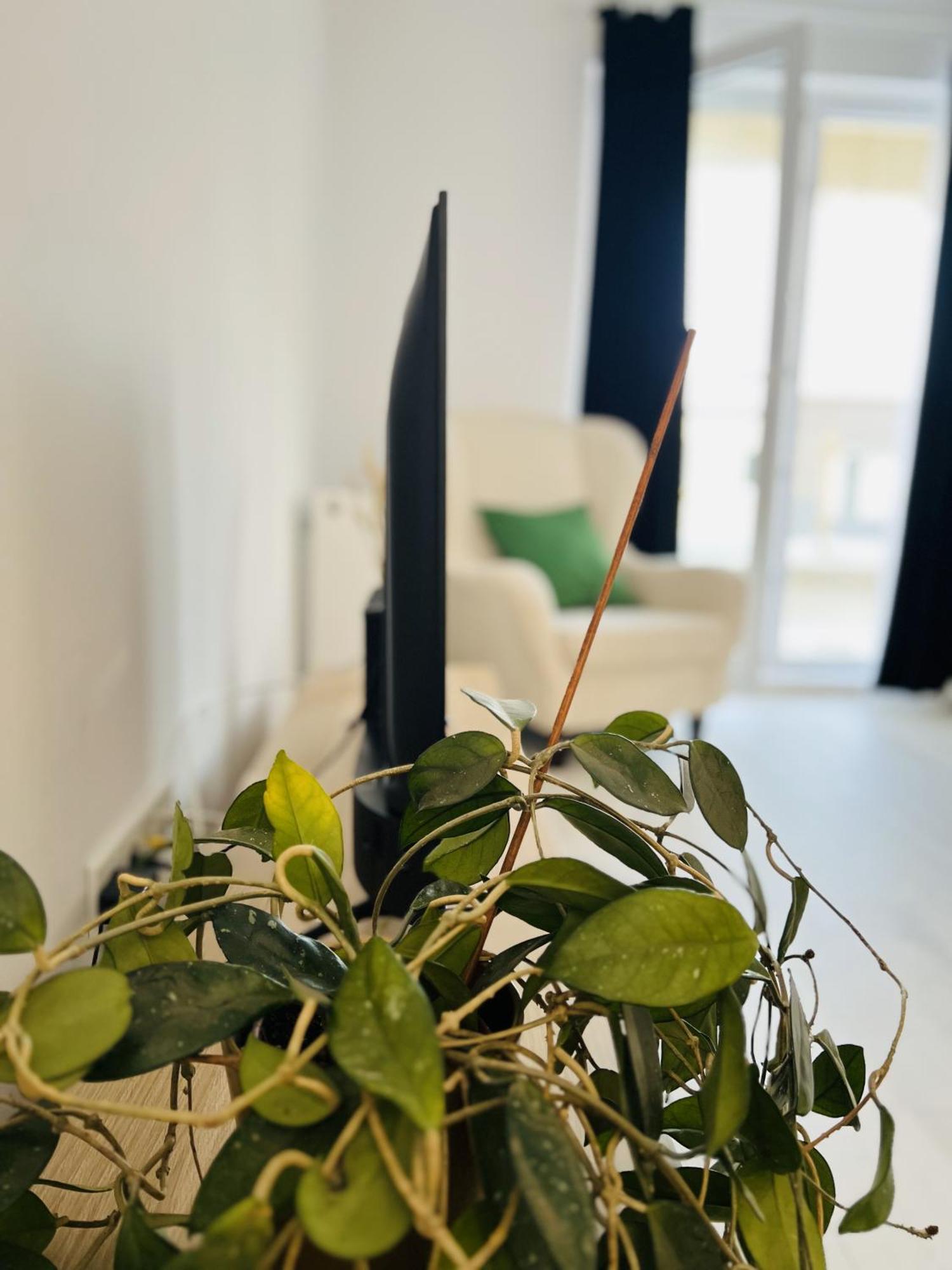Apartament Airport Gardens Loft Otopeni Zewnętrze zdjęcie